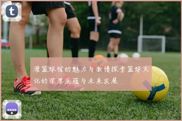 灌篮球馆的魅力与激情探索篮球文化的深厚底蕴与未来发展