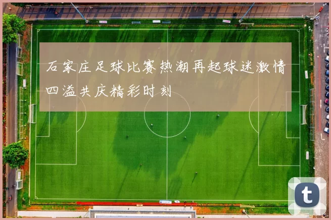 石家庄足球比赛热潮再起球迷激情四溢共庆精彩时刻